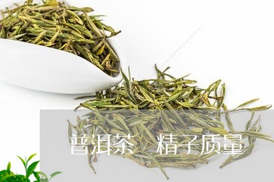 普洱茶 精子质量/2023041028628